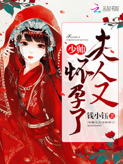 少帅,夫人又怀孕了